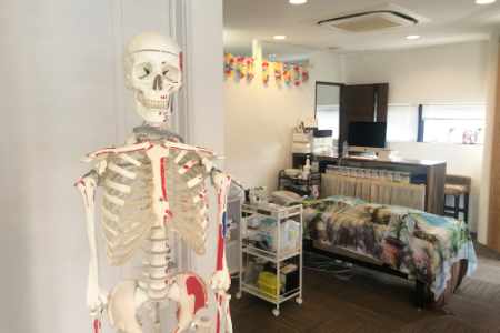 関節ごとに受講可能