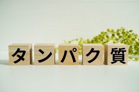 画像：450×338サイズ