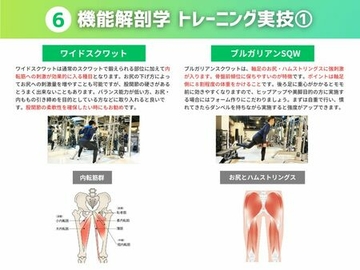 ６ 機能解剖学（筋学・骨学含む）