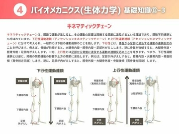 ４ バイオメカニクス（生体力学）