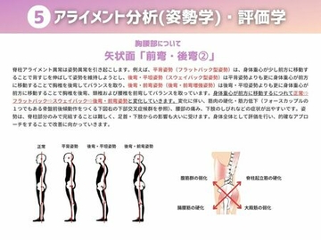 ５ アライメント分析（姿勢学）・評価学
