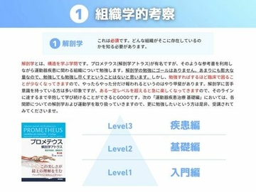1 組織学的考察