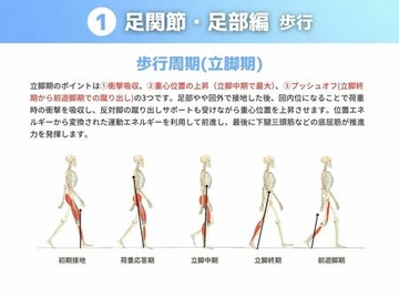 ［歩行］
