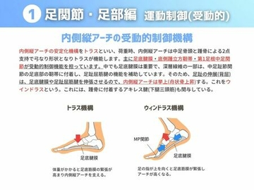 ［運動制御 受動的］