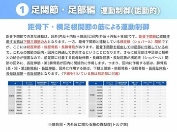 ［運動制御 能動的］