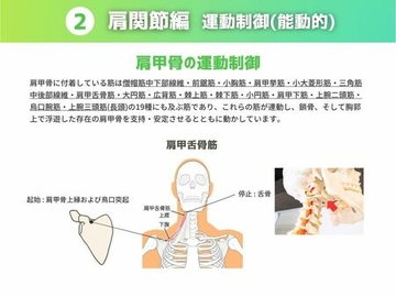 ［運動制御 能動的］