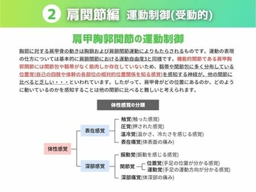 ［運動制御 受動的］