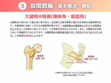 ［基本構造・機能］