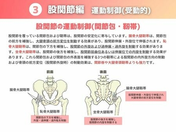 ［運動制御 受動的］