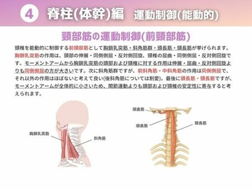 ［運動制御 能動的］