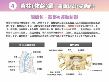 ［運動制御 受動的］