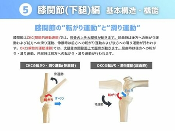 ［基本構造・機能］