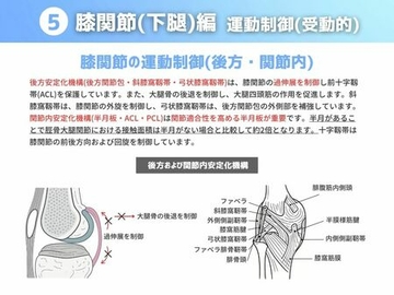 ［運動制御 受動的］