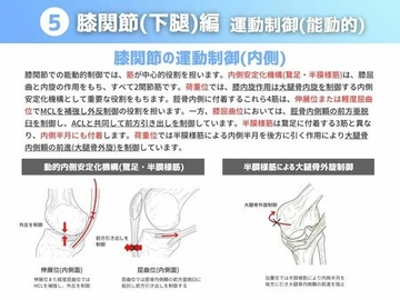 ［運動制御 能動的］
