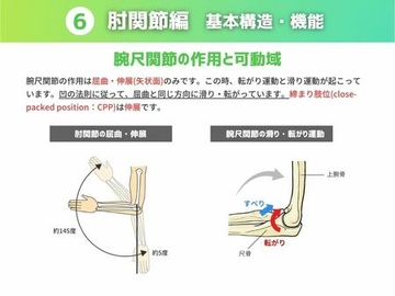 ［肘関節］