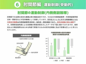 ［運動制御 受動的］