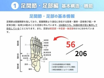 基礎知識 復習編
