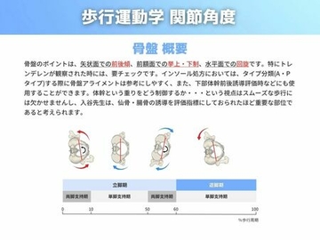 歩行運動学 関節角度編