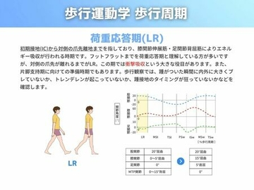 歩行運動学 歩行周期編