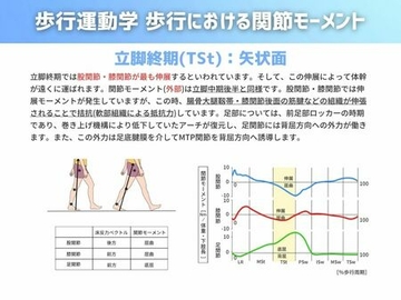 歩行運動学 歩行における関節モーメント編