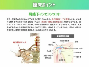 ２ 肩関節治療編