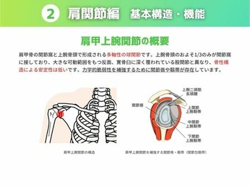［肩甲上腕関節］