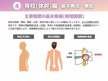 ４ 体幹の巻（復習用動画あり）